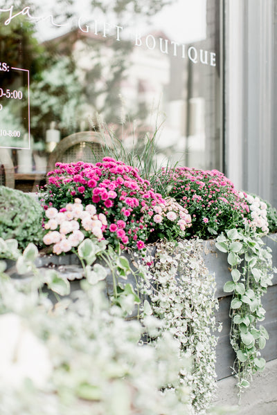 Planting Shoppe Fall Flower Boxes