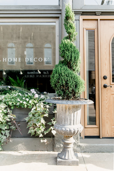Shoppe Summer Flower Boxes- Pastel Pink + Green