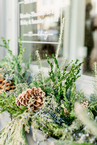 Holiday Window Boxes + New Signage