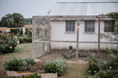 A Peak at The Rural Society:: Mt. Vernon, Ohio